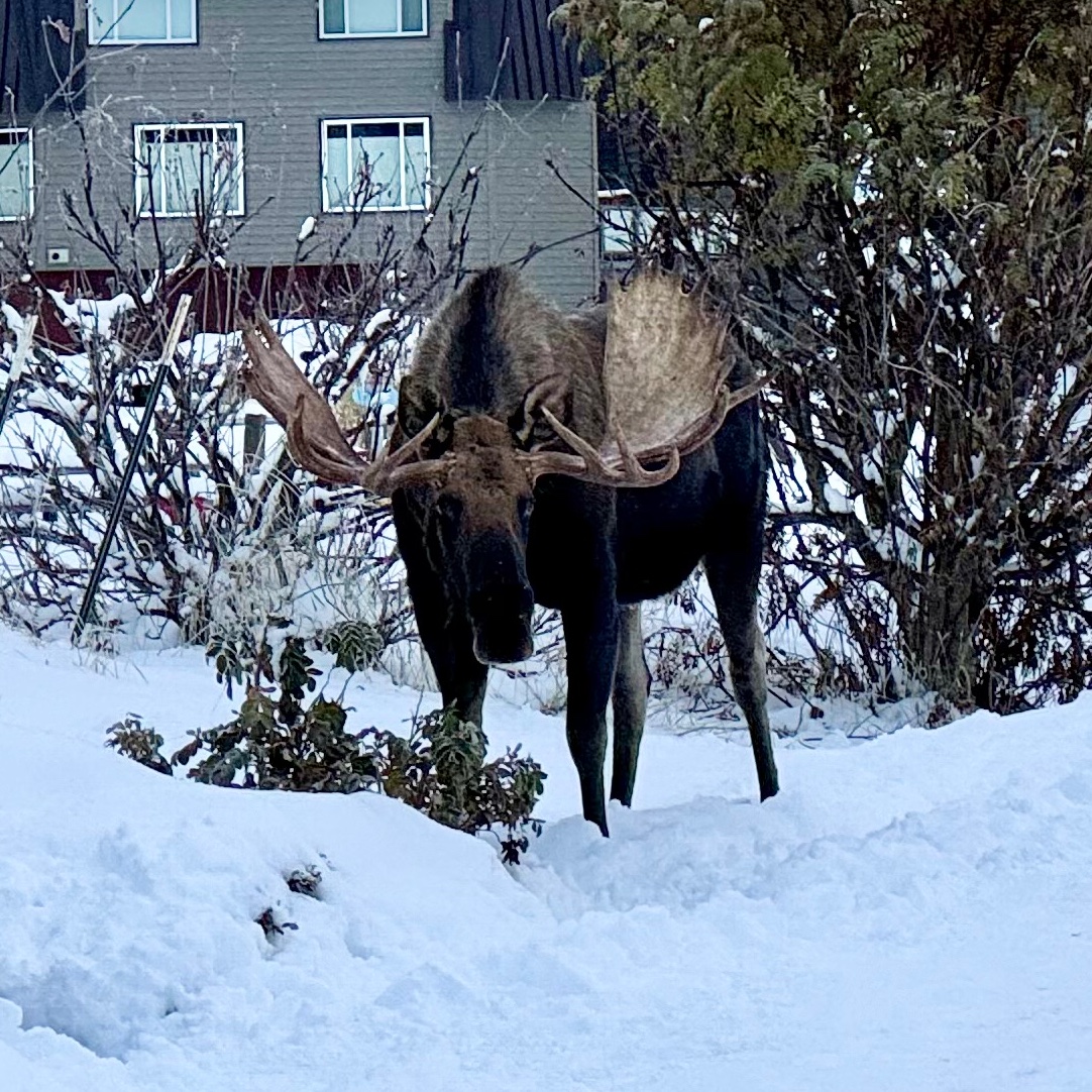 Our face when we see partisan extremists trying to take away our Alaskan right to vote for any candidate in any election, regardless of political party.