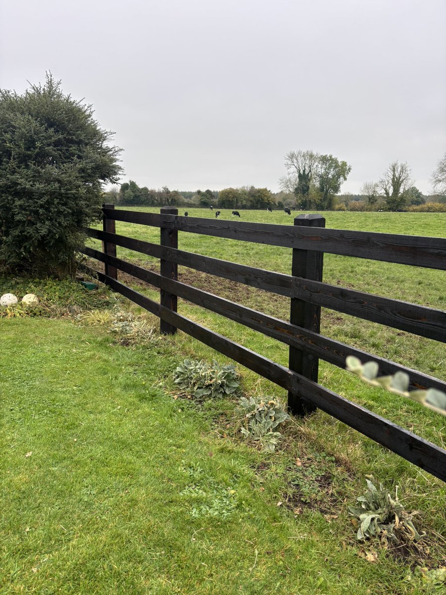 A nice 4 rail fence the team fitted last week. 8 foot long 6x6 inch stakes and finished with a 45 degree chamfer on top. 4 rail finish with 6x1.5 inch rails. All screwed together and painted with a creosote replacement product to blacken it up. Well done to the lads. Great job