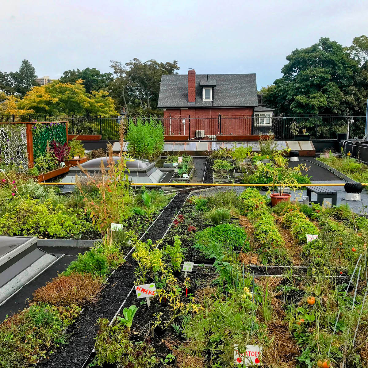 City of Toronto 🇨🇦 tweet media