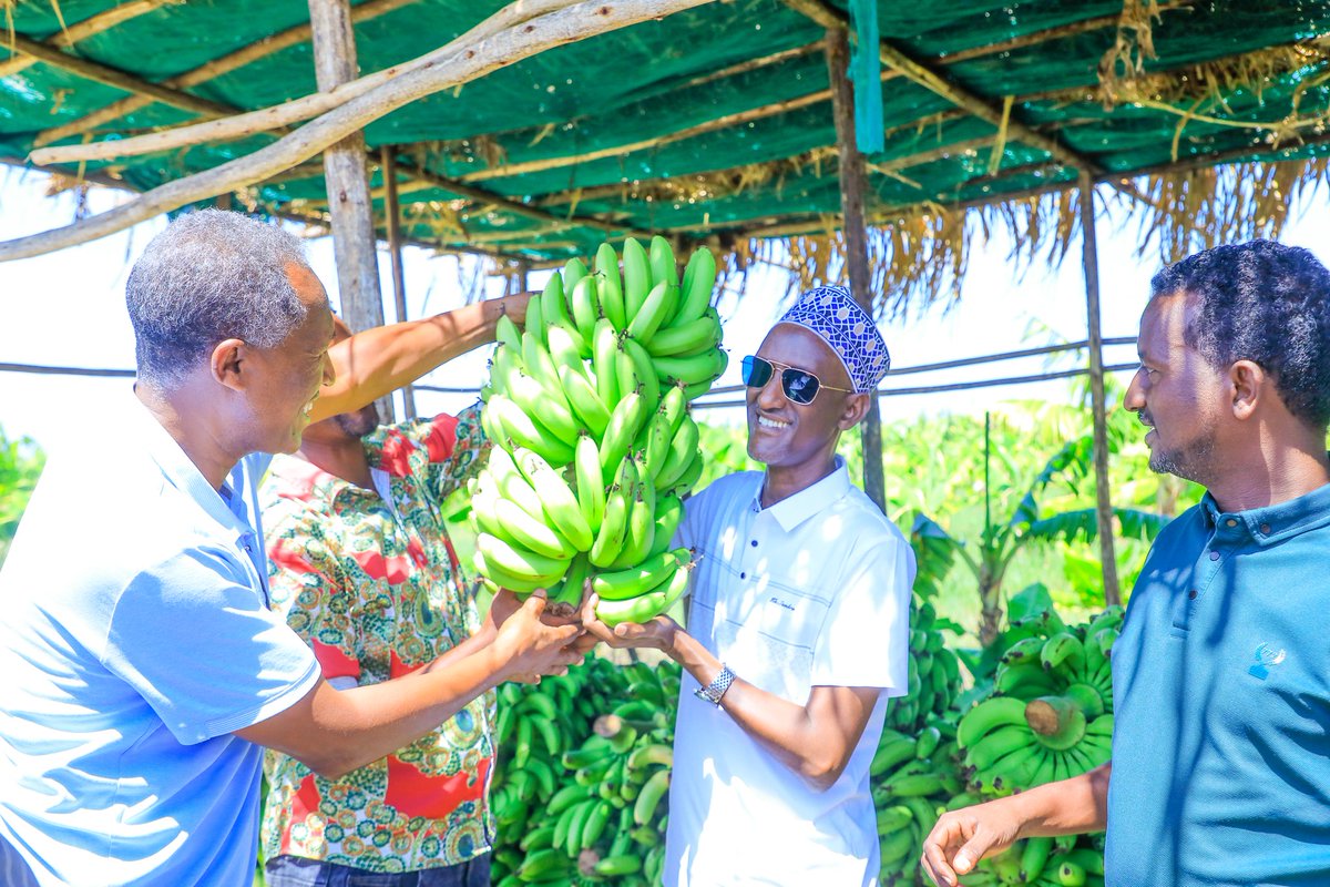 Awel Arba tweet media