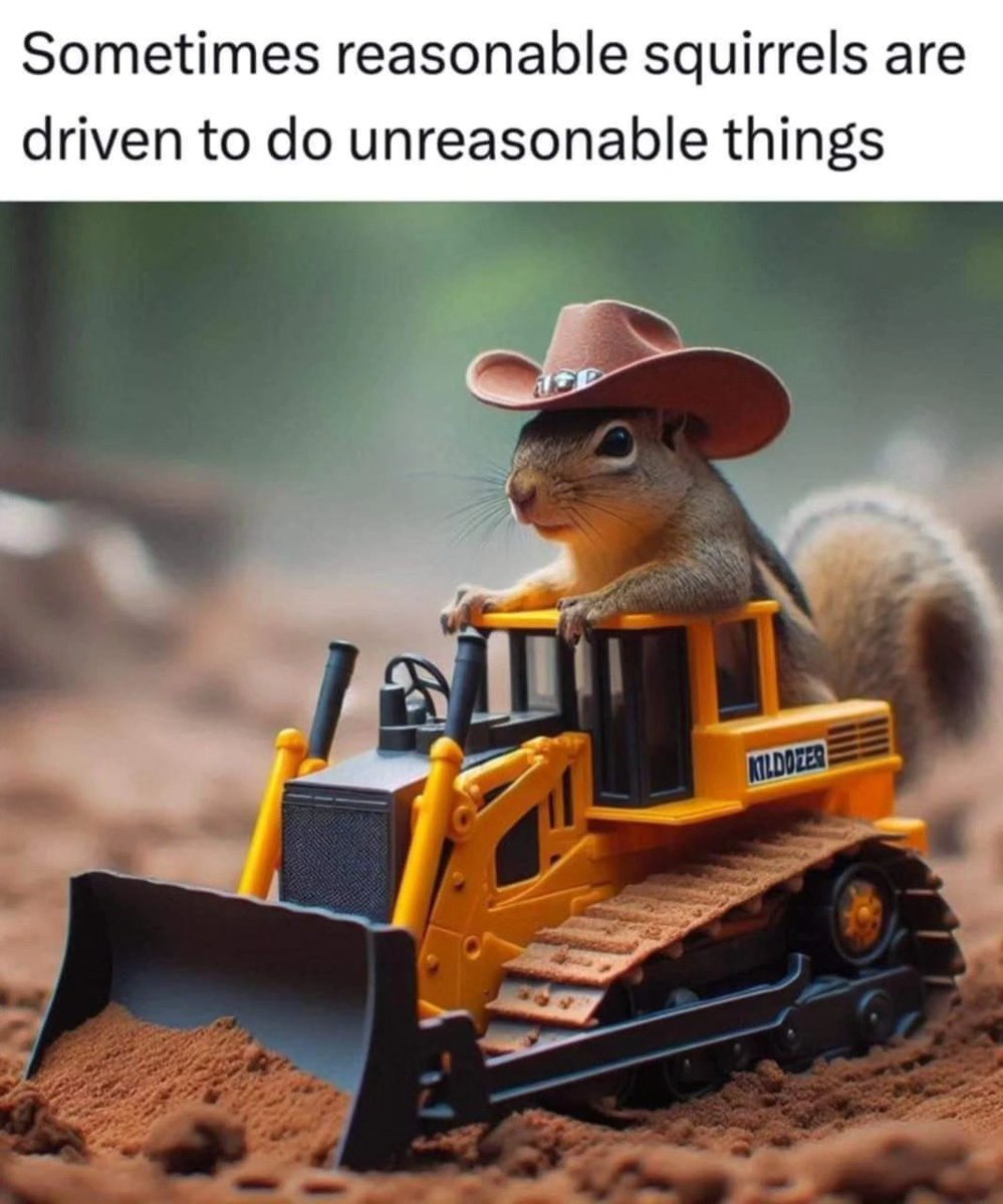 beinlibertarian's tweet image. 