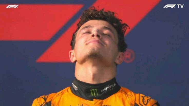 Gaby ✩ LN1 tweet media