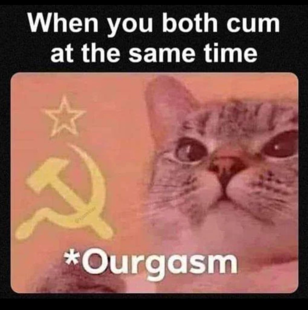 Gulag and chill?