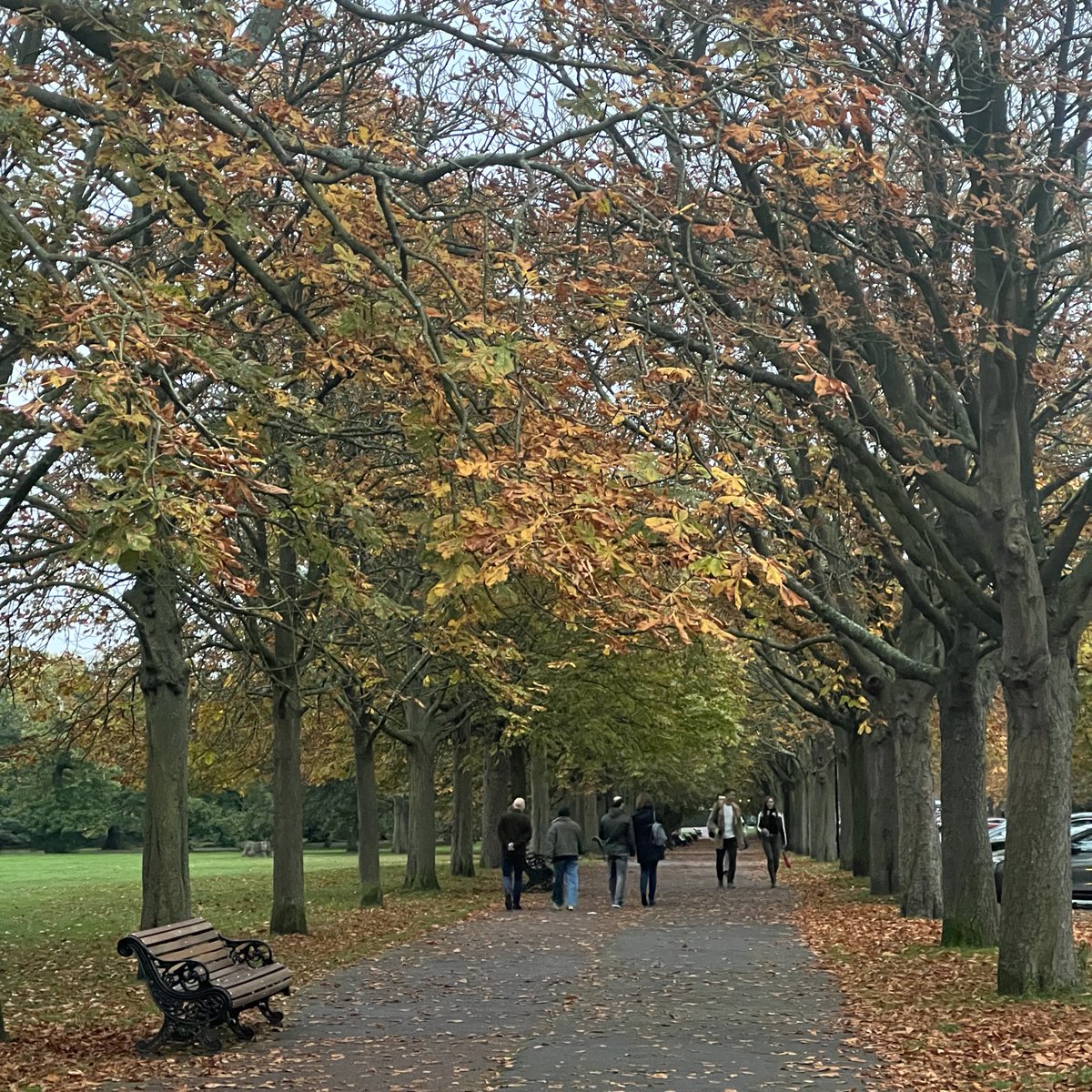 greenwich park today looking like i walked through the door with you, the air was cold