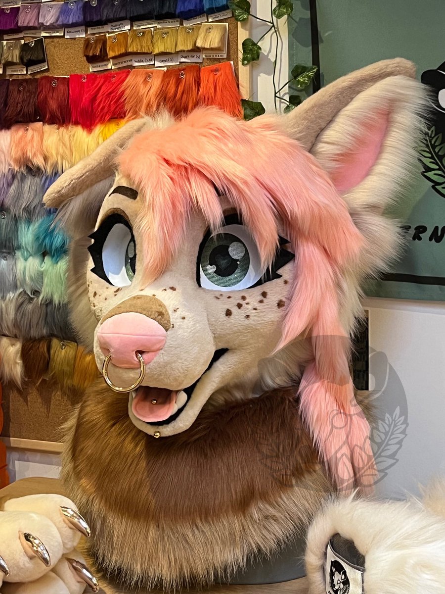 🌿Fern and Fallow𐂂 tweet media