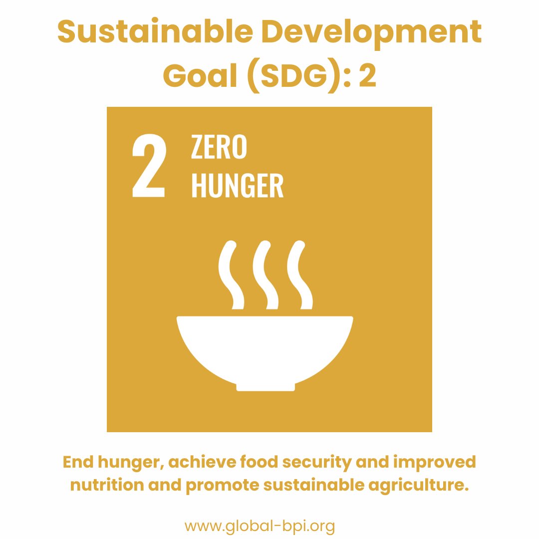 globalbpi2023's tweet photo. Philanthropy for Black nonprofits in alignment with the @UN Sustainable Development Goals (SDGs).

The SDG in focus for November 2024 are:
🥗 SDG#2: Zero Hunger

Donate with Purpose👇🏿
https://t.co/Lv5Dpzpkap https://t.co/pUysX31kjJ