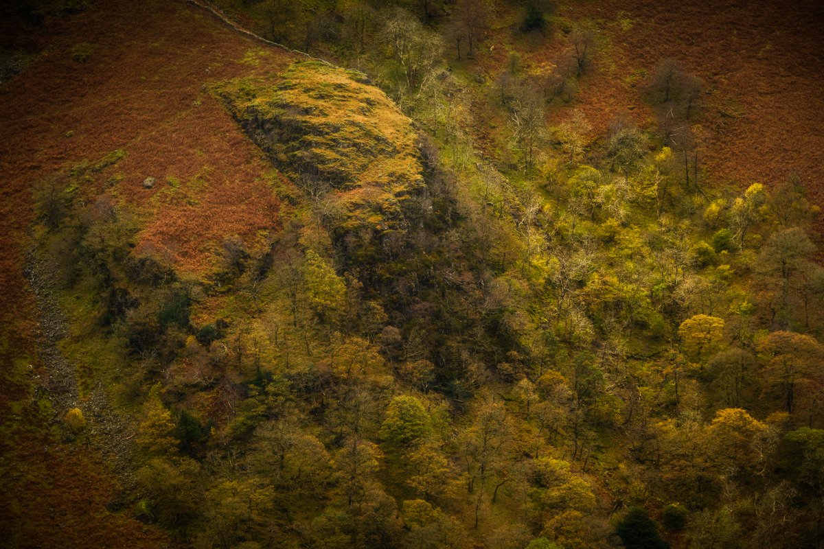 David Rippin🏔🌳📷🧗‍♂️🚴‍♂️🇪🇺 tweet media