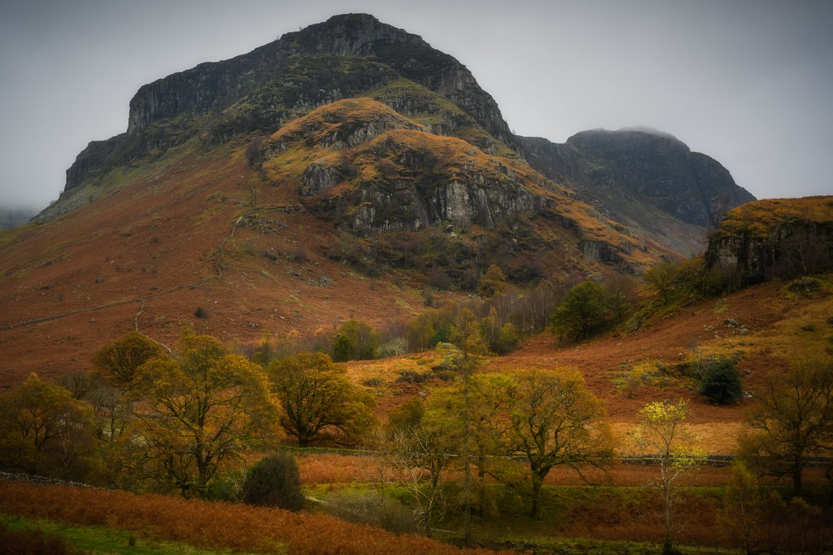 David Rippin🏔🌳📷🧗‍♂️🚴‍♂️🇪🇺 tweet media