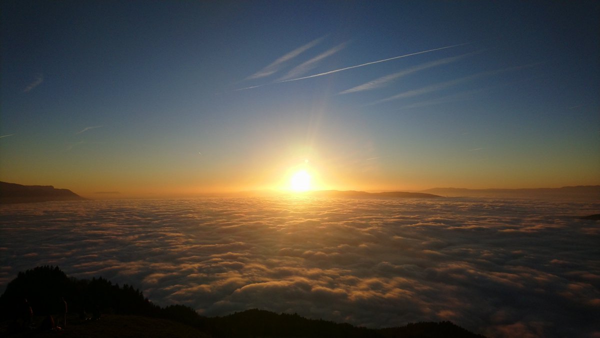 NICODEPLANEY (et Squat 🐈) tweet media