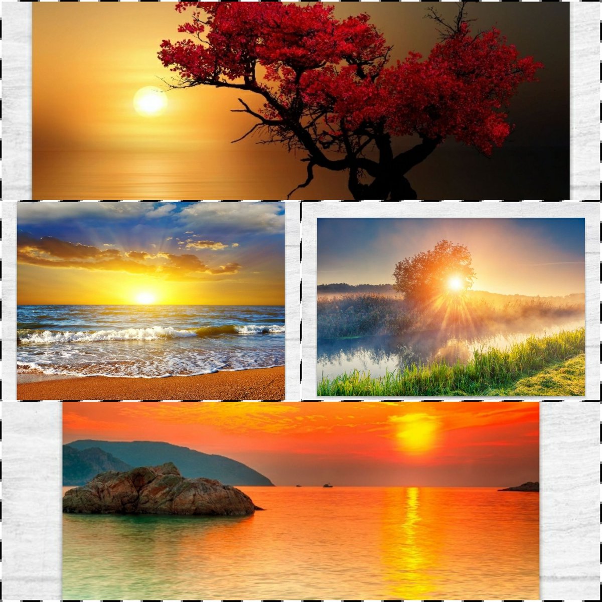 danisaad2's tweet photo. #nature #digitalart #digitalpainting
#sustentability #EcoFriendly #earth
#sun #sunset #sunrise https://t.co/QmzBRufHmc