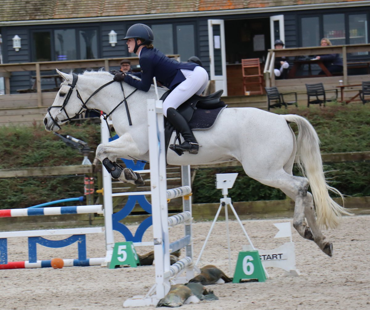 Pipers Equestrian tweet media