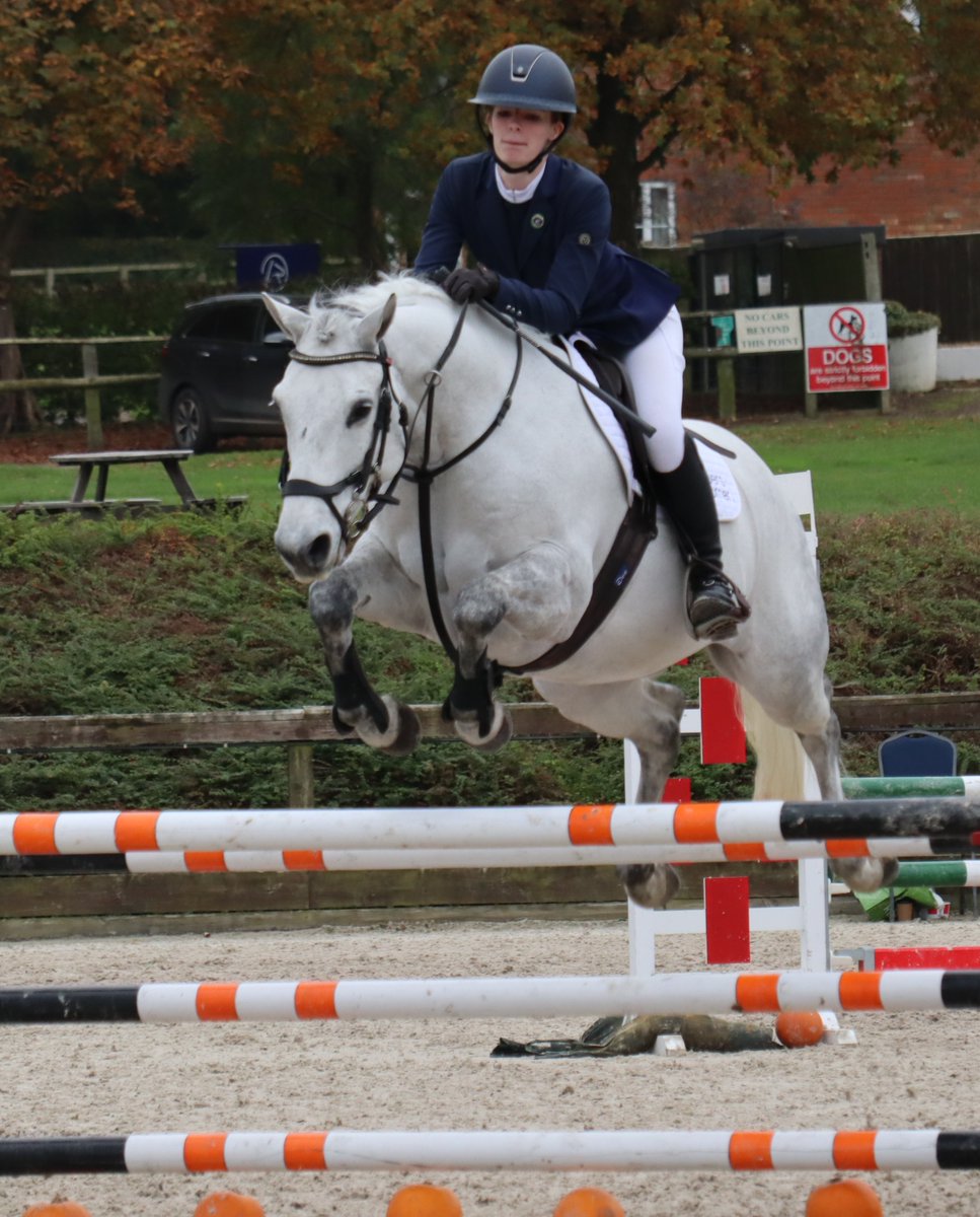 Pipers Equestrian tweet media