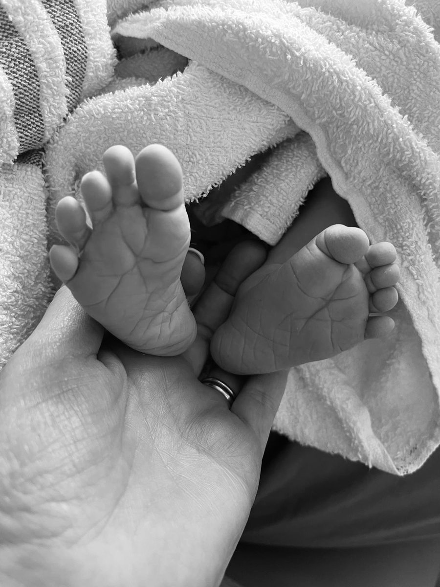 Little baby Jude has finally arrived.

01.11.2024. 🩵