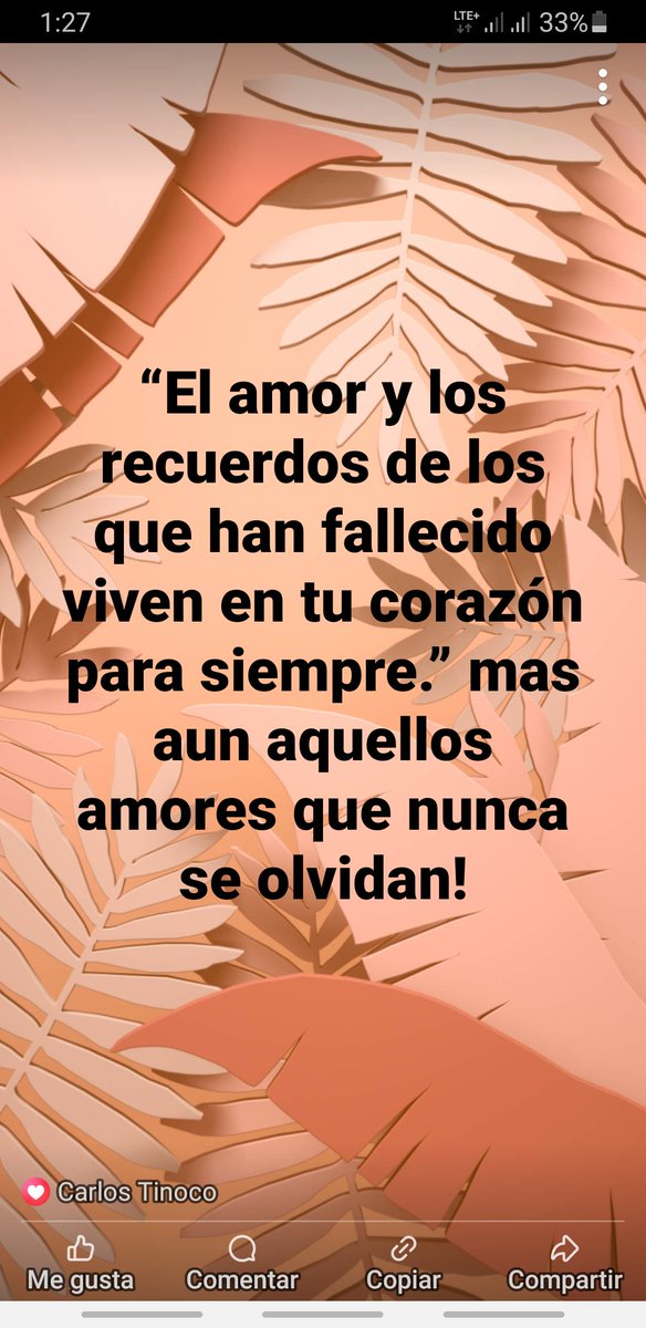 Carlos L. Tinoco (@el_tayacan_) on Twitter photo 