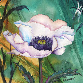 lizannemayers's tweet image. #WhitePoppy 🕊 Peace for all Beings 🕊