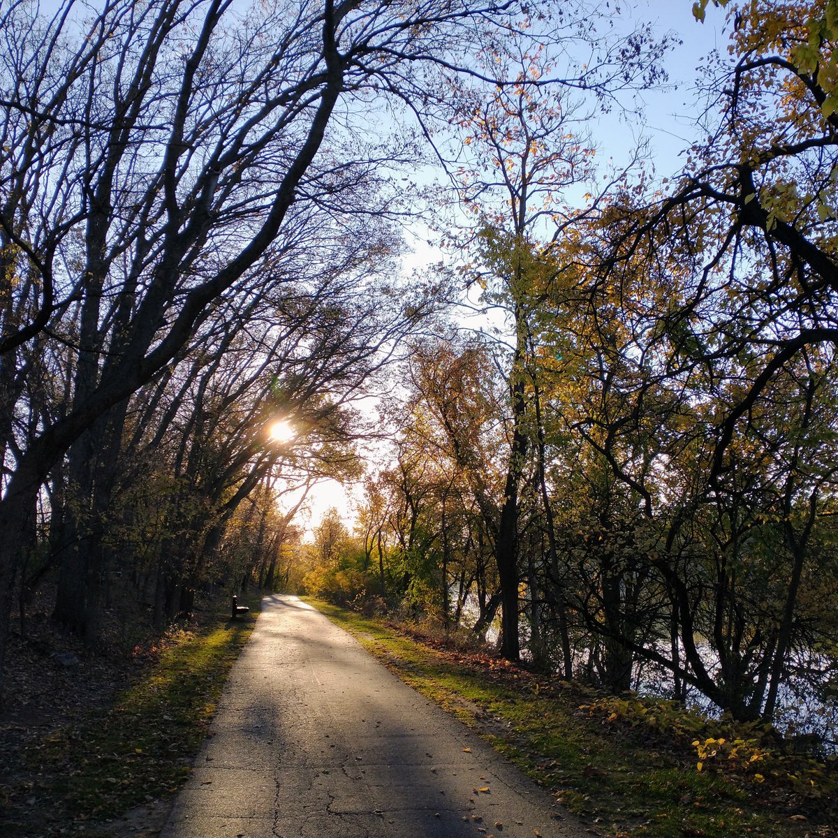Okay, I've posted my last political note. Thanks for tolerating them. I'll be going offline for a couple days this week, for self preservation, but hopefully the week will go well and I'll be back. 
Took this pic this morning to celebrate the beautiful mornings of Standard Time!