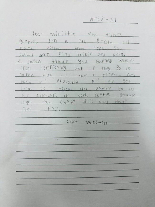 CamilleBrunel's tweet image. Dans son école du Texas, @RFriend_Class a proposé à ses élèves de plaider la cause de Wikie &amp;amp; Keijo, les dernières captives de l&apos;infâme #Marineland d&apos;@antibes_jlp ⛓️🐬⛓️

Ils ont écrit à @AgnesRunacher, qui a le sort de ces animaux entre les mains...

cc @onevoiceanimal
