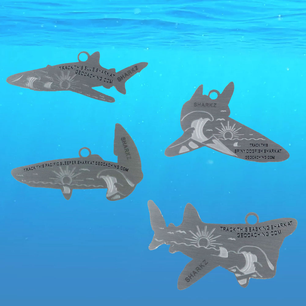 landsharkz's tweet photo. Did you know a group of sharks is a "shiver"?
While these four sharks are known to live in the coastal waters of the Pacific Northwest they do like to travel.  Send each of the four sharks to the four oceans of the world. Only $7.99 each! Get them here: https://t.co/VBH7OJzp6s https://t.co/JqTVBexkJ8