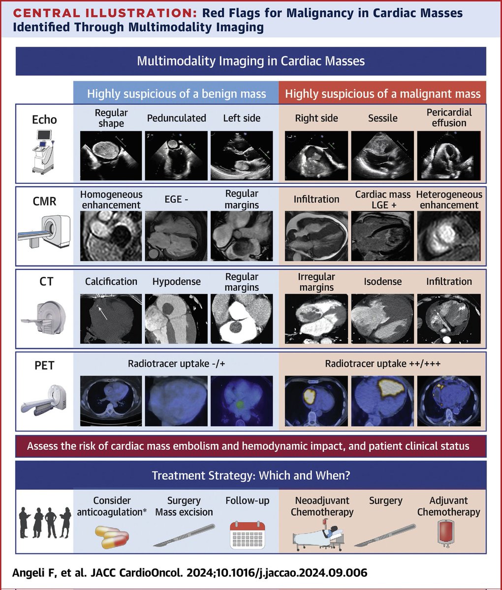 How to differentiate between malignant and benign cardiac masses? 
Look for red🚩at #echofirst
Go for #whyCMR or #yesCCT for further characterisation 
Go for PET by inconclusive findings
jacc.org/doi/10.1016/j.…
Sunday #cardiooncology read 👇