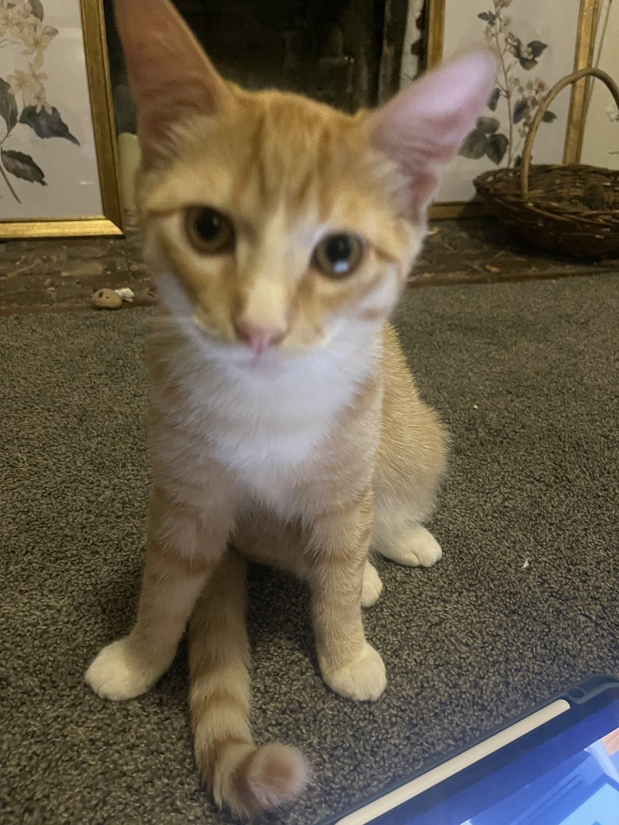 Rory !!!! 🍉 🇵🇸 tweet media