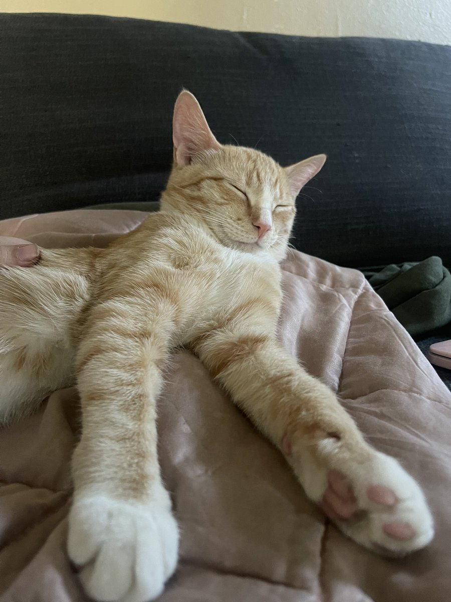 Rory !!!! 🍉 🇵🇸 tweet media