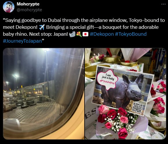 EZtradesstocks's tweet photo. What do you think happens when the zoo is apart of the coin 🚀 #dekopon 🦏 https://t.co/0cU3sm1jAa