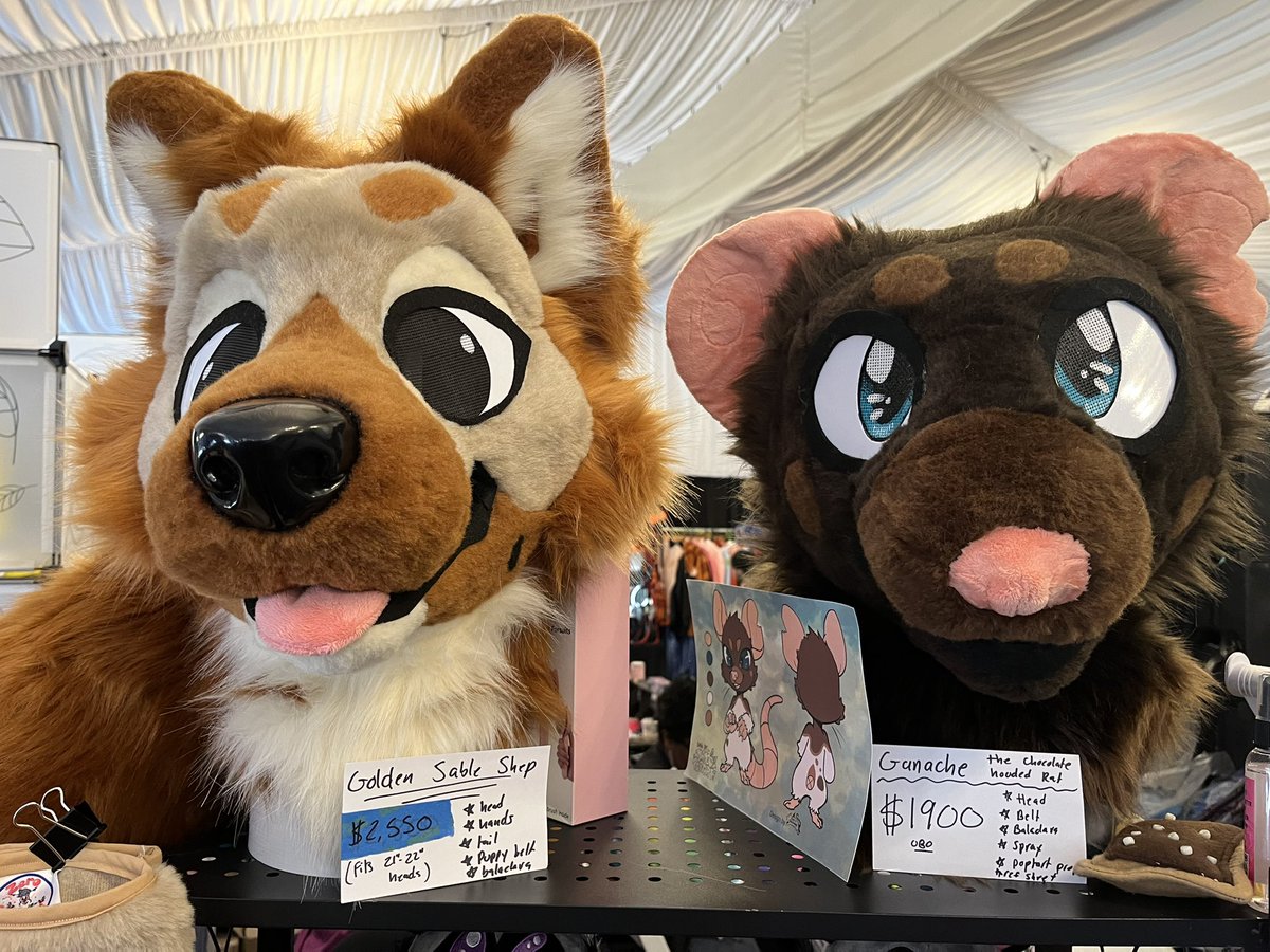 ZeroRemnants's tweet photo. Time for day 3! Still two cuties looking for their homes 💞 https://t.co/DnAF2b0MhN