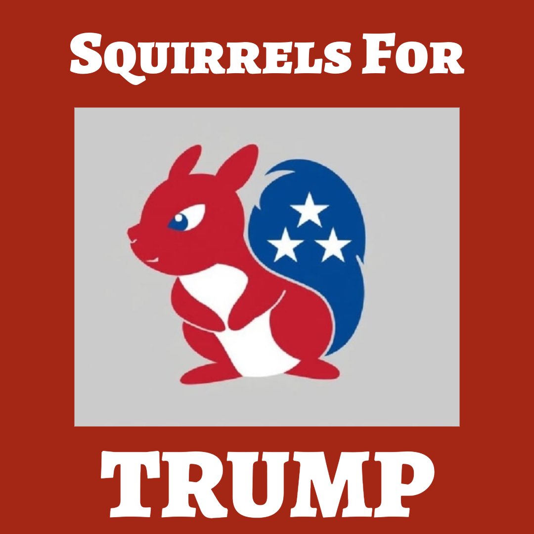 Divert My Travel tweet media