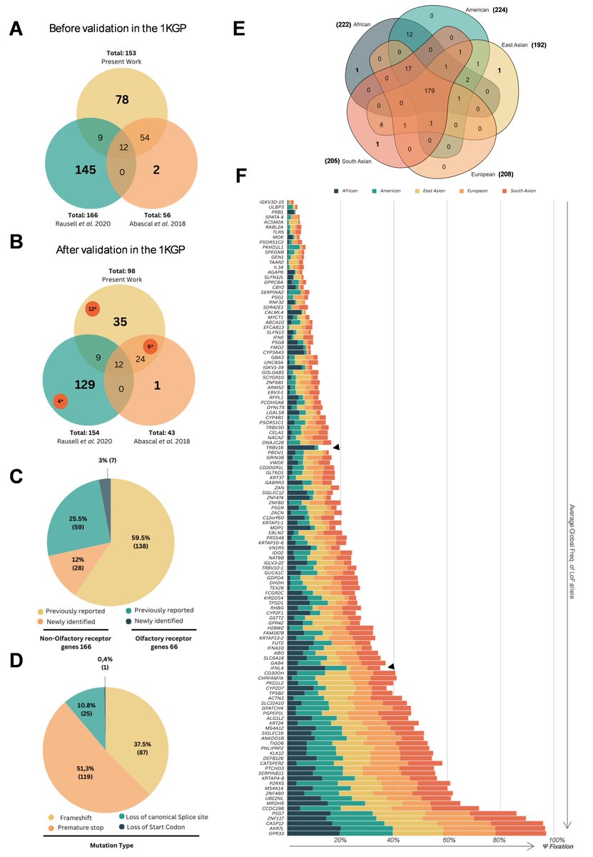 Do all humans have the same number of protein-coding genes? The answer: NO! Curious why?
Find out why our new open-access paper, Polymorphic Pseudogenes in the Human Genome – A Comprehensive Assessment. rdcu.be/dYX9C
#AnimalGeneticsEvolution,  #WomeninSTEM, @CiimarUP