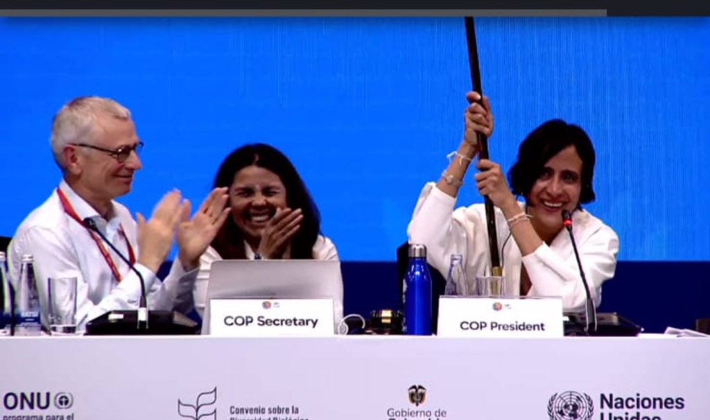 Jaimeluiskan's tweet photo. Saludamos este hito histórico, para la Humanidad, por la #PazconlaNaturaleza entre los Pueblos y Naciones del 🌎

 Está @COP16Oficial representa el tejido colectivo y de unidad por la vida, desde el Corazón 💚 de Tod@s 🕊️@susanamuhamad @petrogustavo @MPCindigena @IIFB_indigenous https://t.co/OD08fWrLby