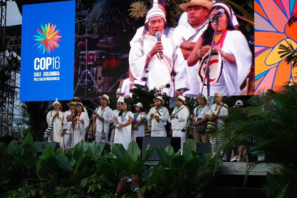 Jaimeluiskan's tweet photo. Saludamos este hito histórico, para la Humanidad, por la #PazconlaNaturaleza entre los Pueblos y Naciones del 🌎

 Está @COP16Oficial representa el tejido colectivo y de unidad por la vida, desde el Corazón 💚 de Tod@s 🕊️@susanamuhamad @petrogustavo @MPCindigena @IIFB_indigenous https://t.co/OD08fWrLby