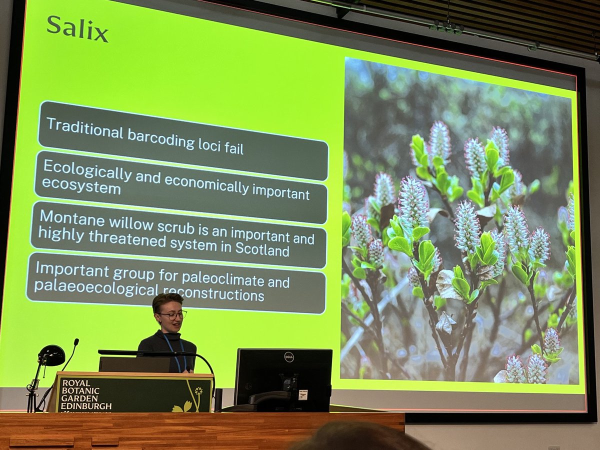 Rebecca Cornwell tweet media