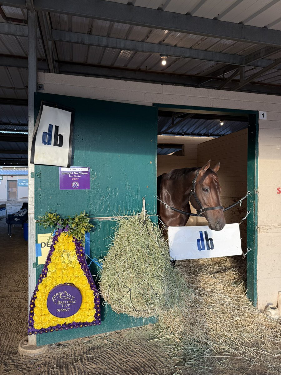 Dan Blacker Racing tweet media
