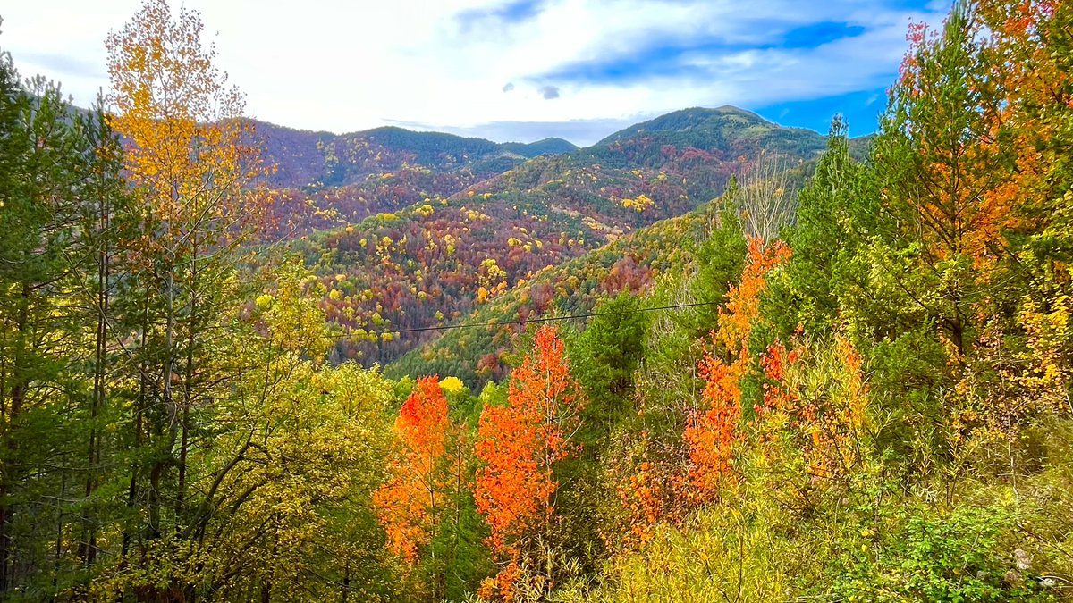 CasaColasa's tweet photo. Dime , hay algo más espectacular???🍁🍂🍄🍄‍🟫 https://t.co/3L3Wk4f5CP