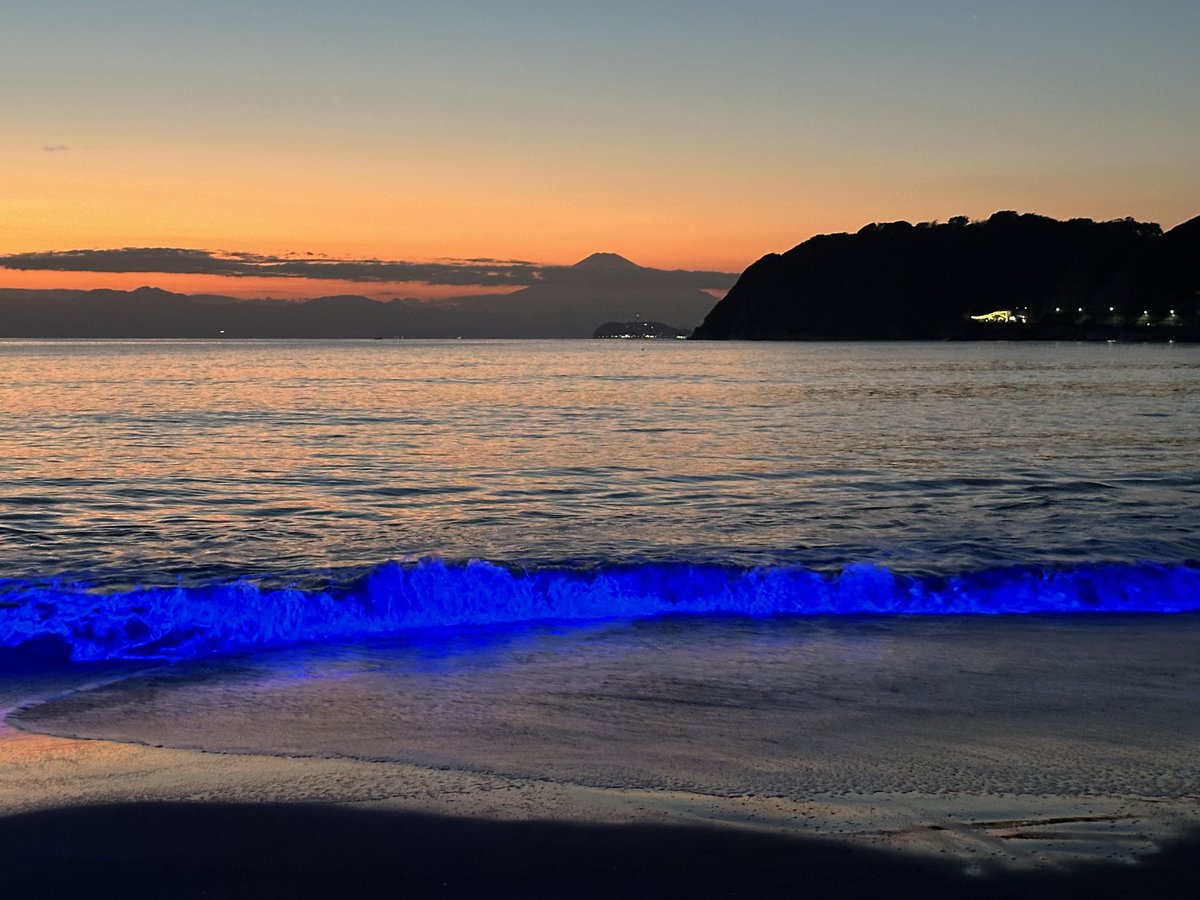 zushitabijp's tweet image. 夕日が沈む時、音合わせ中の瑛人さんの歌声...そしてNIGHT WAVEが点灯！
夕陽も青い波もステージも美味しい料理も満喫😋一日だけの開催でしたが、たくさんの方にお越しいただきました😂
ありがとうございました！
#逗子 #逗子旅 #逗子海岸 #ナイトウェーブ #ご来場ありがとうございました