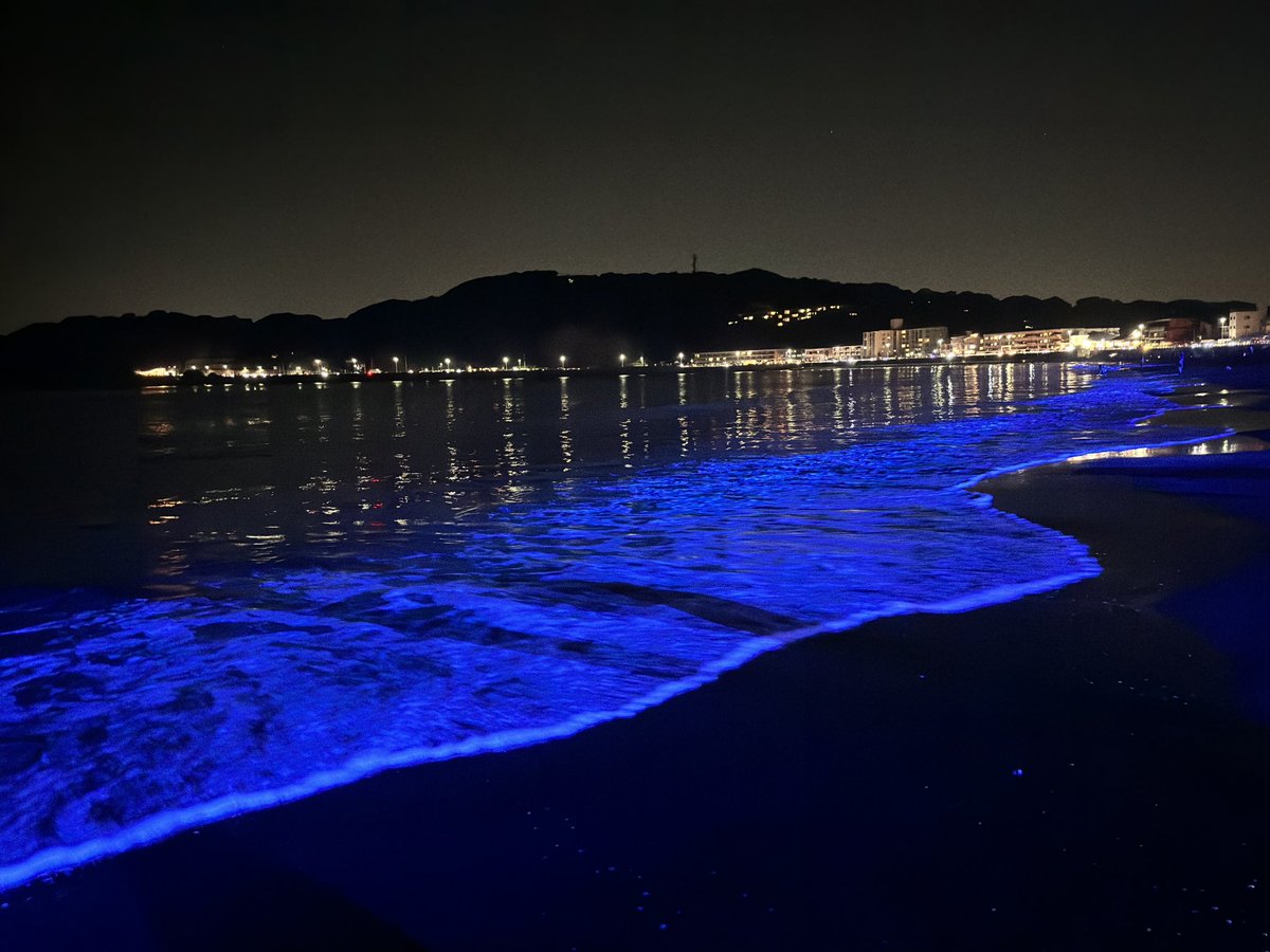 zushitabijp's tweet image. 夕日が沈む時、音合わせ中の瑛人さんの歌声...そしてNIGHT WAVEが点灯！
夕陽も青い波もステージも美味しい料理も満喫😋一日だけの開催でしたが、たくさんの方にお越しいただきました😂
ありがとうございました！
#逗子 #逗子旅 #逗子海岸 #ナイトウェーブ #ご来場ありがとうございました