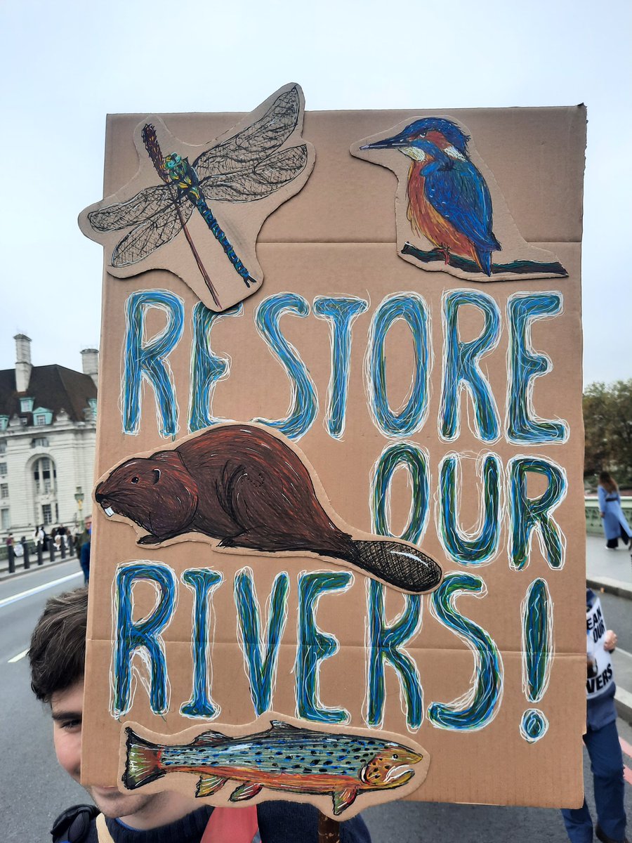 Rob Mungovan tweet media