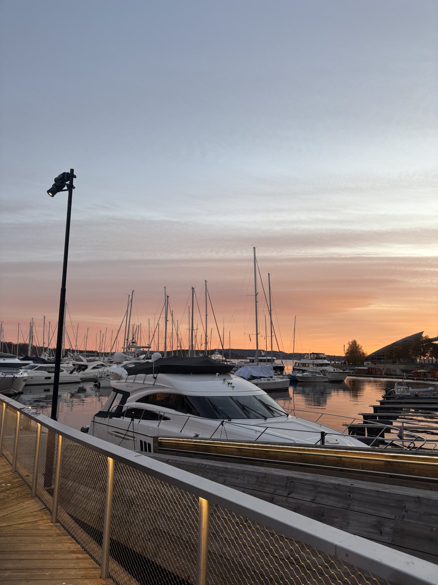 Liv Bennett tweet media