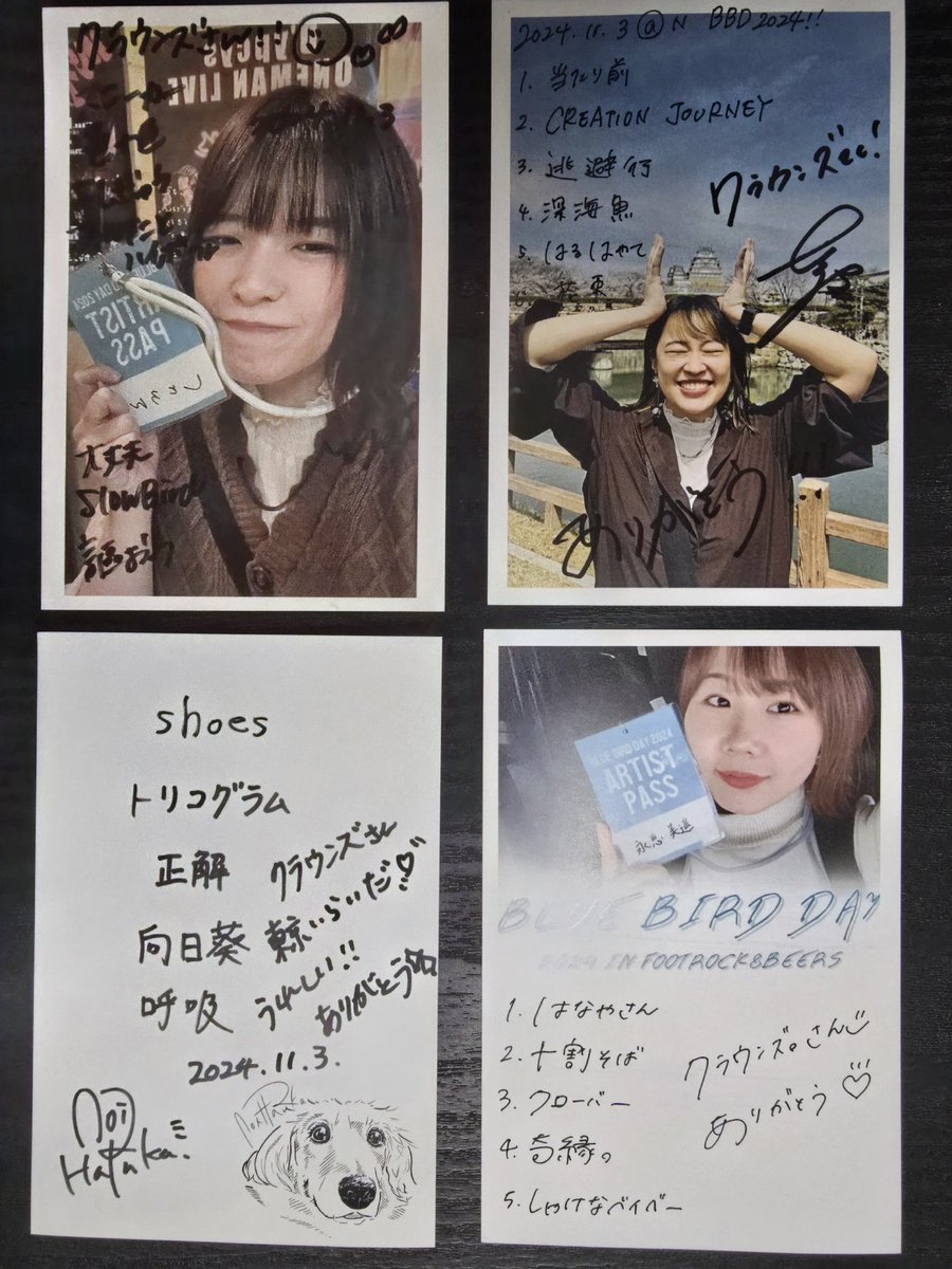 mcrowns55's tweet photo. 11/3午後🌞 #BBD2024
#BLUEBIRDDAY2024 に
行って来ました~😄
#戸田大地 さん
#金谷好益 さん
#咲弥 さん
#椋子 さん
#永恵美遥 さん
#コシミキヤ さん
#あおいはるか さん
#しとろん さん
#Charmantcoco さん
#東京60WATTS さん
#慈光 さん
大トリ #河野圭佑 さんを観ました😳
皆さん良かった😍最高だぁ~🥰
楽しくてあったか~いフェスでした🥰
やっぱりライブはいいなぁ~😊
歌う魚でおいしいカレー🍛+🍳を
食べました🤤