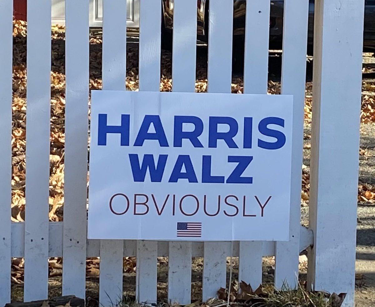 Scott Bokun tweet media