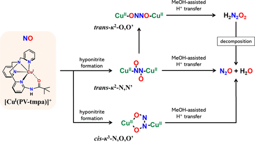 bhkenlo's tweet photo. The Effect of Intramolecular Proton Transfer on the Mechanism of NO Reduction to N2O by a Copper Complex: A DFT Study | Inorganic Chemistry https://t.co/us015ArAmn Shiota and co-workers @InorgChem #copper #NO #N2O #hyponitrite #DFT #intramolecular #ProtonTransfer https://t.co/xw2aqKmWh2