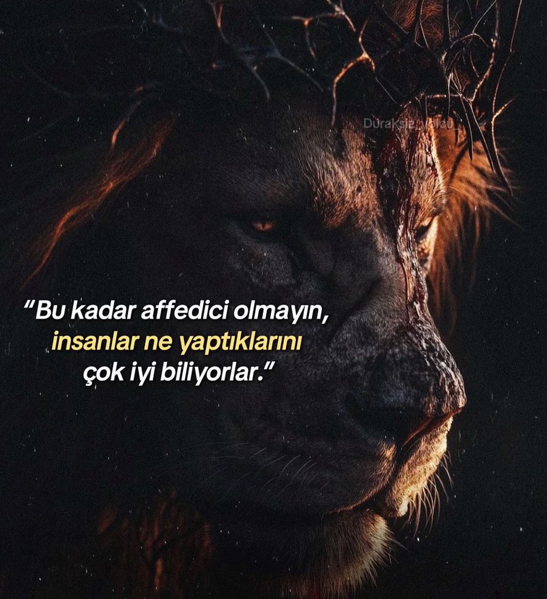 Bu kadar affedici olma! 

#GISELLE #InterJuve #tsgyo