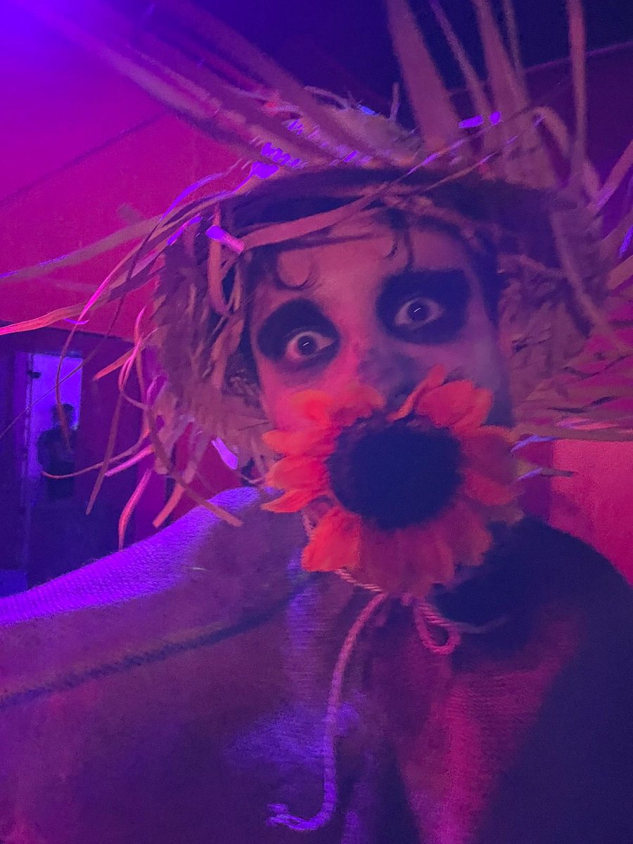 Giacomelli_F's tweet photo. Resistindo ao calor para manter as fantasias de Halloween https://t.co/xLE8KdHbNh