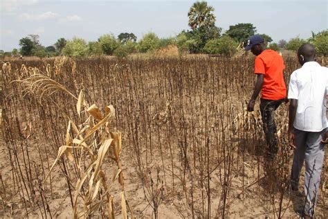 Did you know that climate change impacts are not equally distributed? Marginalized communities often bear the brunt, facing greater risks and fewer resources to adapt. We must prioritize equity and justice in our climate solutions to support those most affected. #ClimateAction