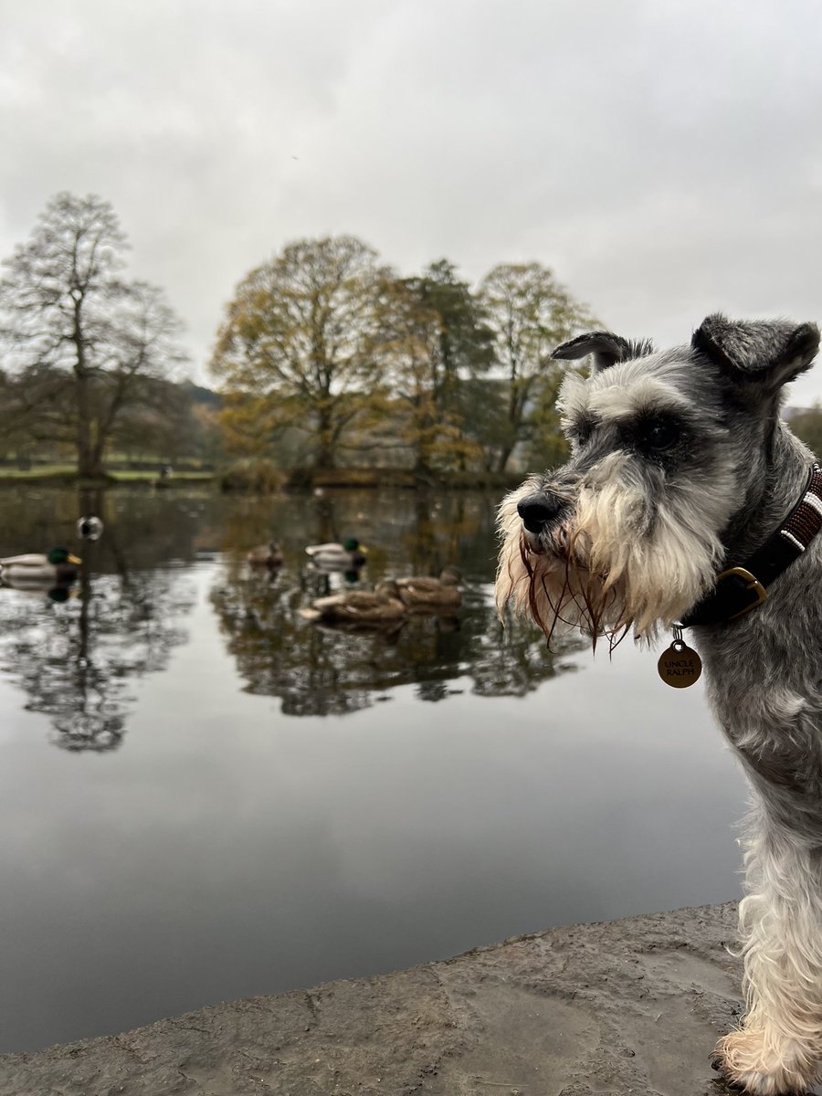 Just taking a little time out today to reflect on life 🥰🐾