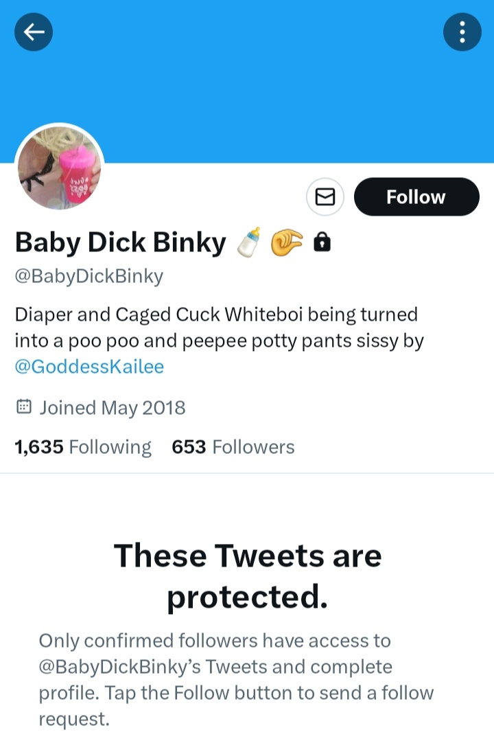 BigTechAlarms's tweet image. 🆕 @elonmusk has started following @BabyDickBinky