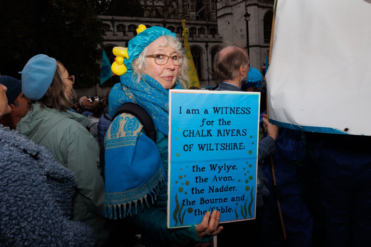 Paul Phelan tweet media