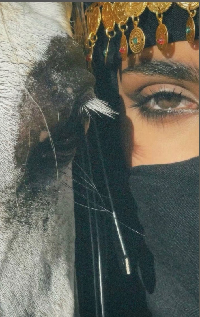 『♛. شـــمـــوخ يمانيه . ♛ 』 tweet media