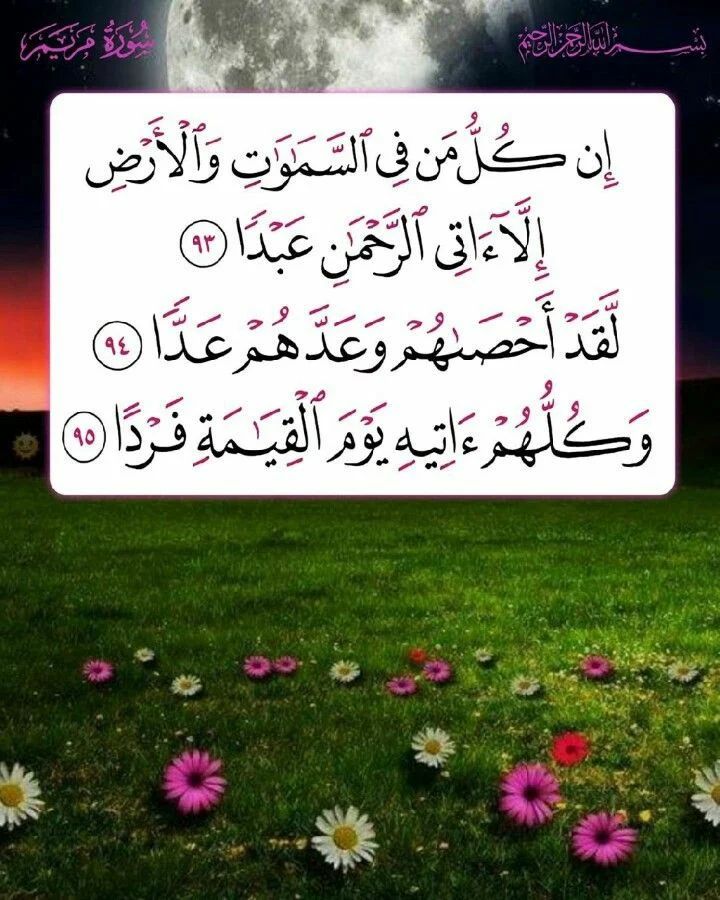 Muhammad Bilal tweet media
