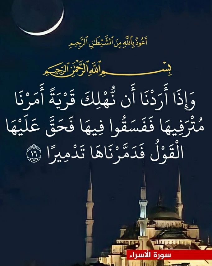 Muhammad Bilal tweet media